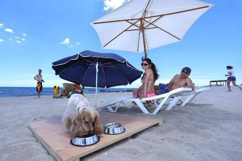 Familia con perro en Playa de Agua Amarga - Alicante